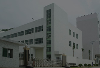 Company